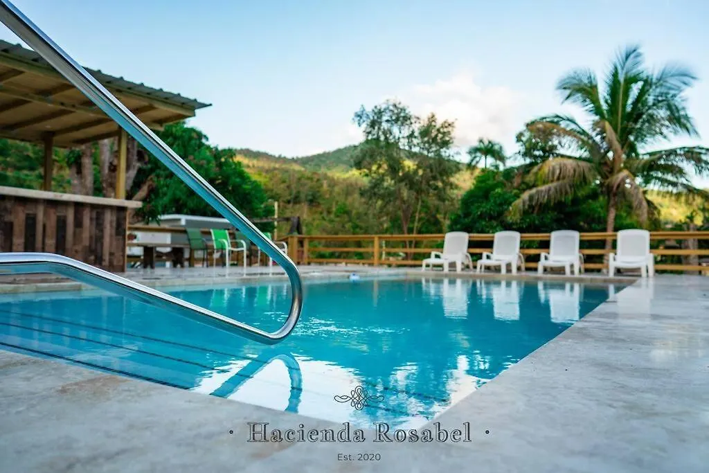 הוילה פונצ'ה Hacienda Rosabel 0*,  פוארטו ריקו