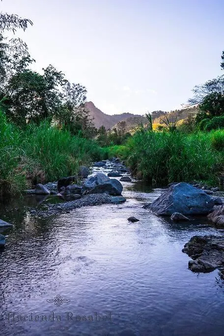 הוילה פונצ'ה Hacienda Rosabel בית נופש