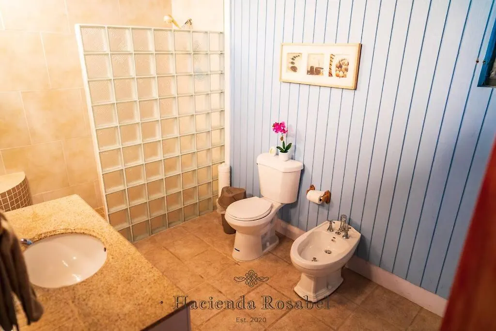 בית נופש הוילה פונצ'ה Hacienda Rosabel פוארטו ריקו